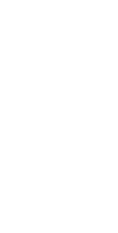 Flags Nepal logo